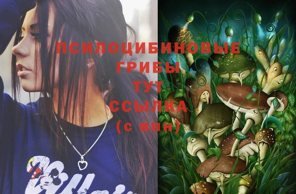 не бодяженный Богородск