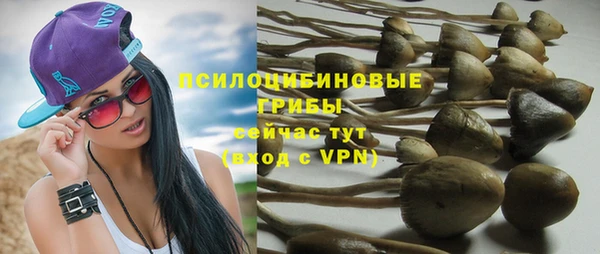 ешки Богданович