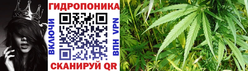 купить   Дятьково  Бошки марихуана VHQ 